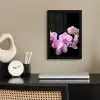 Orchidee - Bloemen - Roze - Flora fotolijst zwart zonder passe partout klein -sfeer1