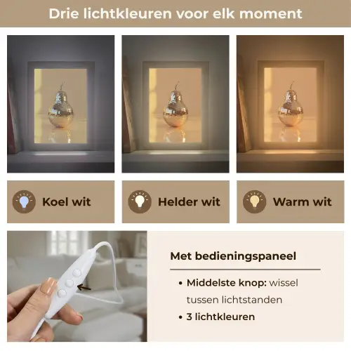 Goud - Disco - Glitter - Peer Light Box met kabel (Tafellamp) klein -USP_lichtkleurNL