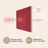 big heart small titties - Hart - Rood PET vilt klein -USP_NL