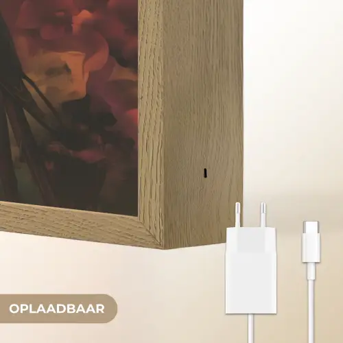 Vrouw - Bloemen - Papegaai - Schilderachtig Light Box met batterij (Wandlamp) middel -USP_websiteoplaadbaarNL