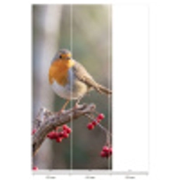 Roodborst - Tak - Bessen - Natuur Behang Vlies klein -USP_banen