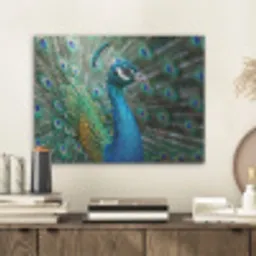 Pauw - Veren - Blauw PET vilt klein -sfeer1