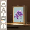 Lelie - Bloem - Paars - Stippen Light Box met kabel (Tafellamp) klein -USP_NL