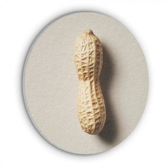 Pinda - Ruw - Beige Akoestische PET Vilt - Rond klein -3d