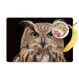 Oehoe - Uil - Portret - Bruin Placemat vinyl groot -zzzproduct_Kitchenyeah-website