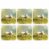 Schaap - Weide - Groen onderzetter kurk middel -3d