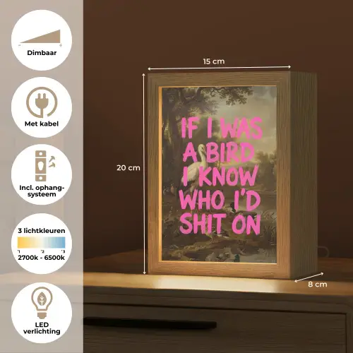 Klassiek - Humor - Roze Light Box met kabel (Tafellamp) klein -USP_NL