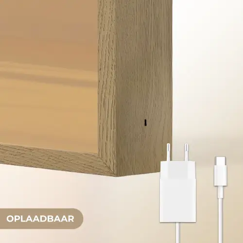 Goud - Disco - Glitter - Peer Light Box met batterij (Wandlamp) middel -USP_websiteoplaadbaarNL