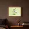 Groen - Disco - Decoratie - Appel Light Box met batterij (Wandlamp) middel -sfeer4