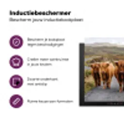 Schotse Hooglanders - Weg - Landschap - Kudde Inductie beschermer vinyl 3mm middel -zzzzzzz-cc-usp