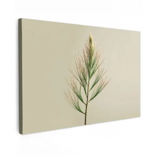 Dennentak - Naaldvormige bladeren - Lichtgroen canvas 2cm klein -z3d