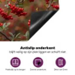 Goudvink - Bessen - Herfst - Natuur - Kleurrijk Inductie beschermer vinyl 3mm klein -zzzzzzz-cc-onderkant