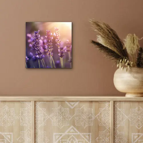 Lavendelbloemen - Paars - Zonlicht aluminium wit klein -sfeer4
