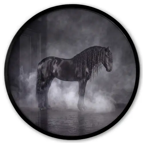 Paard - Magisch - Zwart Fotolijst rond zonder passe partout klein -3d