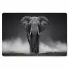 Olifant - Zwart - Wit - Rook Placemat vinyl groot -zzsfeer1_Kitchenyeah-website