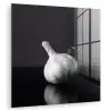 Knoflook - Zwart - Wit plexiglas 5mm klein -zzzproduct_nieuw