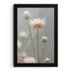 Strobloemen - Wit - Daglicht fotolijst zwart zonder passe partout klein -3d