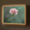 Anjer - Roze - Bloemblaadjes Light Box met batterij (Wandlamp) middel -z3d_website