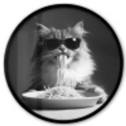 Langharige kat - Zonnebril - Spaghetti - Humor - Zwart - wit Fotolijst rond zonder passe partout klein -3d