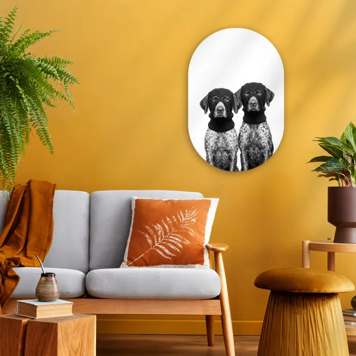 Honden - Bivakmuts - Zwart - wit Wandcirkel Ovaal Forex klein -sfeer4
