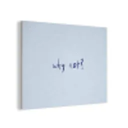 Why not - Blauw - Donker blauw - Quote PET vilt klein -3d