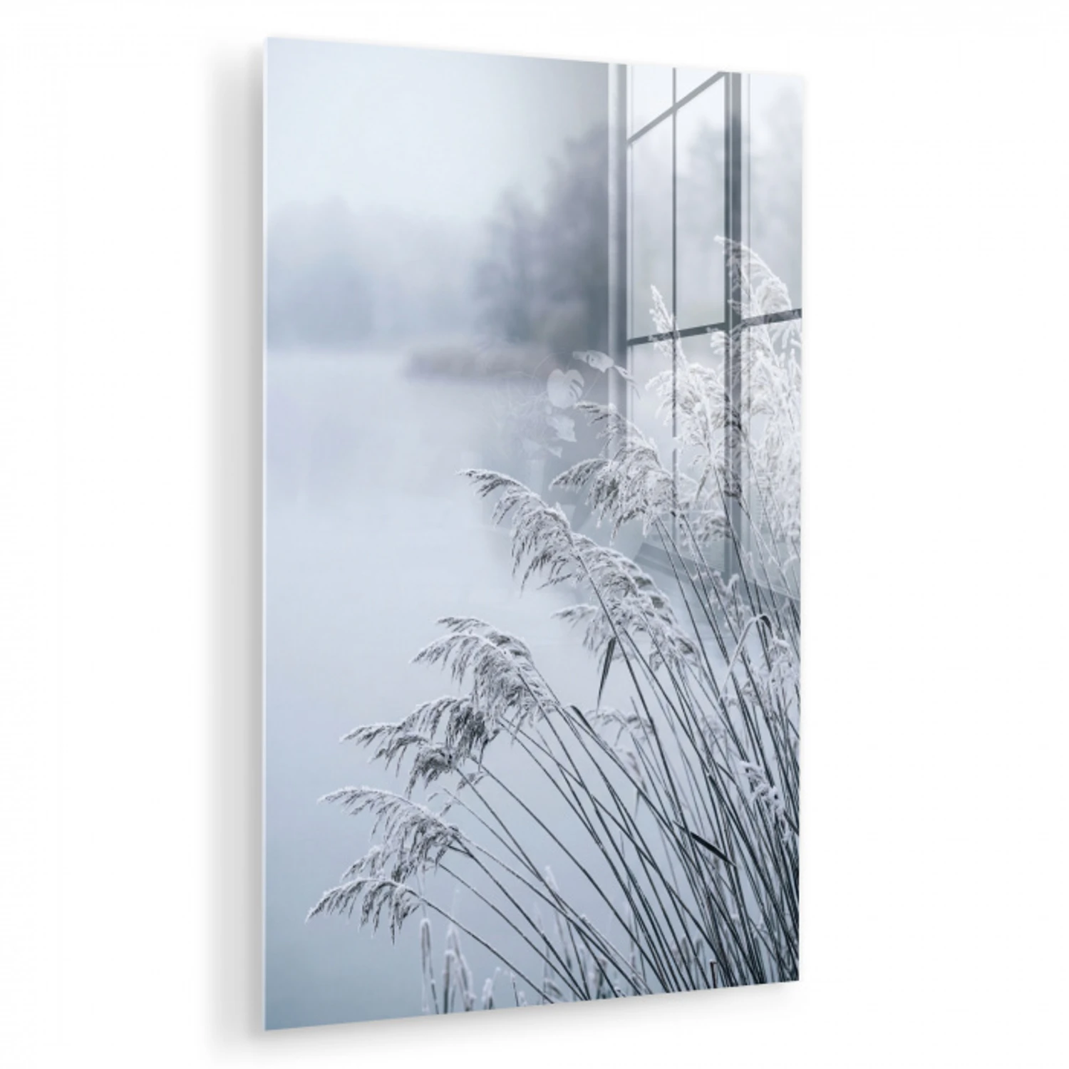 Riet - Bevroren - Winter - Natuur plexiglas 5mm klein -zzzproduct_nieuw