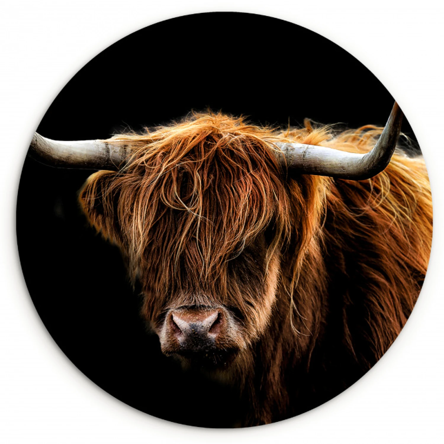 Contrast van Schaduw en Vacht KitchenYeah - Keuken - Wandcirkel Forex klein -3d