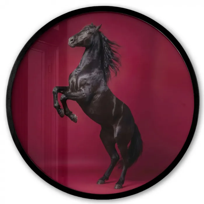 Hengst - Steigert - Rood Fotolijst rond zonder passe partout klein -3d