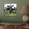 Koeien - Gras - Lente - Dieren - Weiland - Boerderij aluminium wit klein -sfeer2