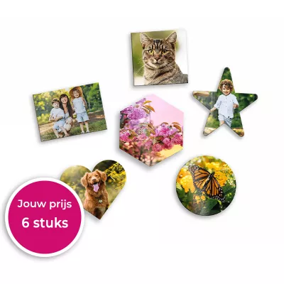Koelkast magneten 6 stuks