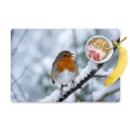 Roodborstje - Tak - Sneeuw - Winter - Levendig Placemat vinyl groot -zzzproduct_Kitchenyeah-website