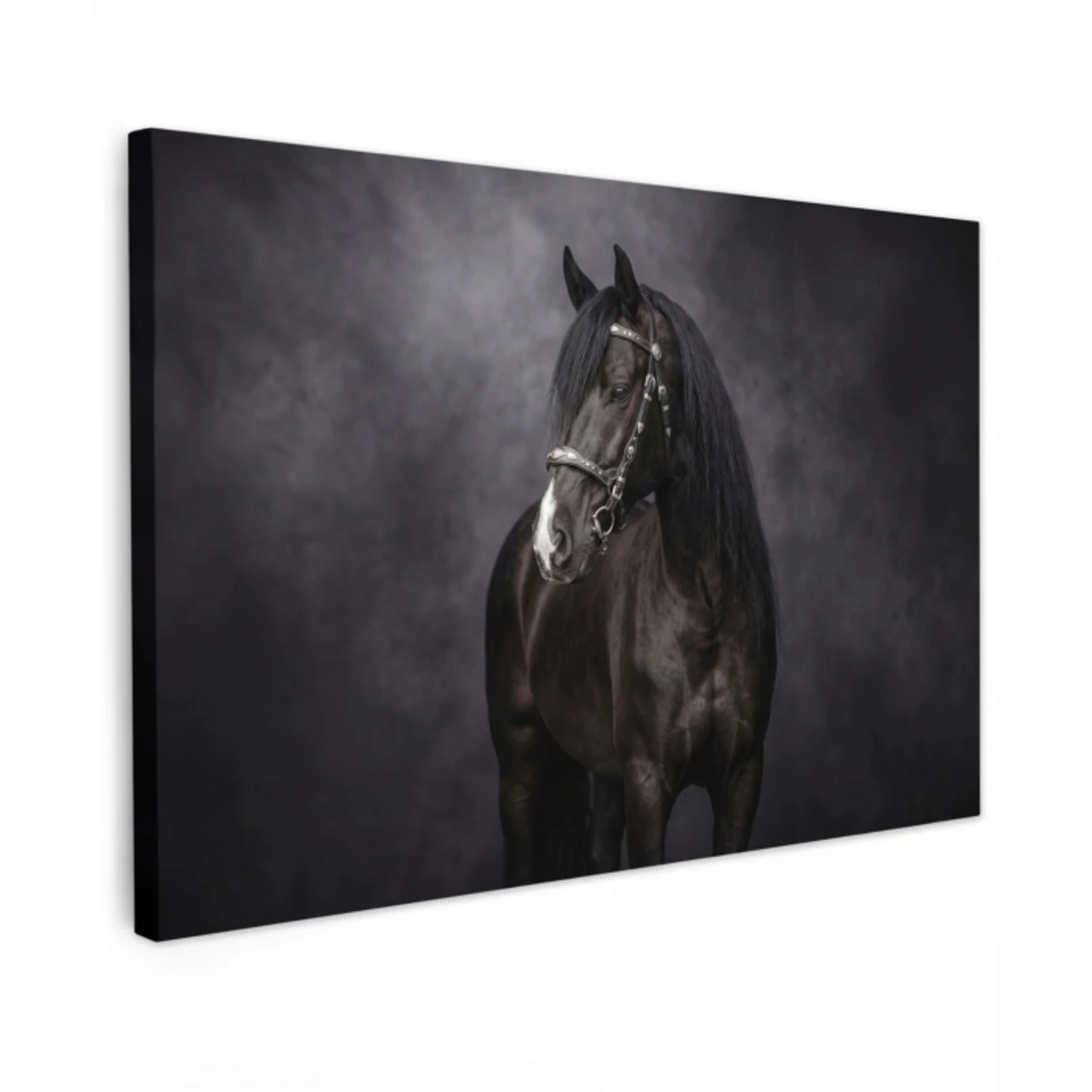 Portret - Paard - Zwart Tuinposter op houten frame 2 cm dik klein -3d