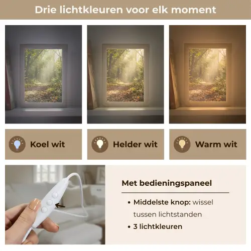 Zonlicht - Bospad - Bomen Light Box met kabel (Tafellamp) klein -USP_lichtkleurNL