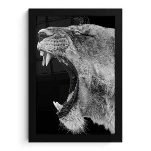 Dieren - Leeuw - Zwart - Wit - Portret fotolijst zwart zonder passe partout klein -3d