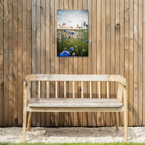 Korenbloemen bij zonsondergang Tuinposter op houten frame 2 cm dik klein -sfeer4