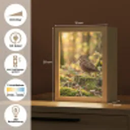 Houtsnip - Bos - Bladeren - Herfst - Gecamoufleerd Light Box met kabel (Kinderlampje) klein -USP_DE