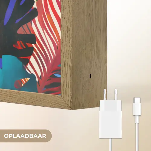 Bladeren - Vormen - Abstract - Kleurrijk Light Box met batterij (Wandlamp) middel -USP_websiteoplaadbaarNL