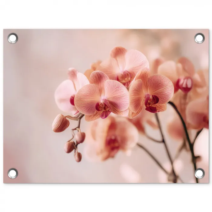 Orchidee - Bloemen - Roze - Bloemblaadjes tuinposter los doek klein -3d