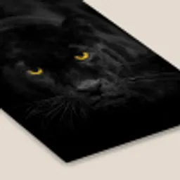 Panter - Dieren - Zwart - Ogen fotolijst zwart zonder passe partout klein -zsfeer6