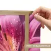 Roze - lelie - Dauwdruppels Light Box met batterij (Wandlamp) middel -USP_websiteprintNL