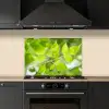Natuur - Lente - Groen - Bladeren keuken achterwand spatscherm klein -sfeer1