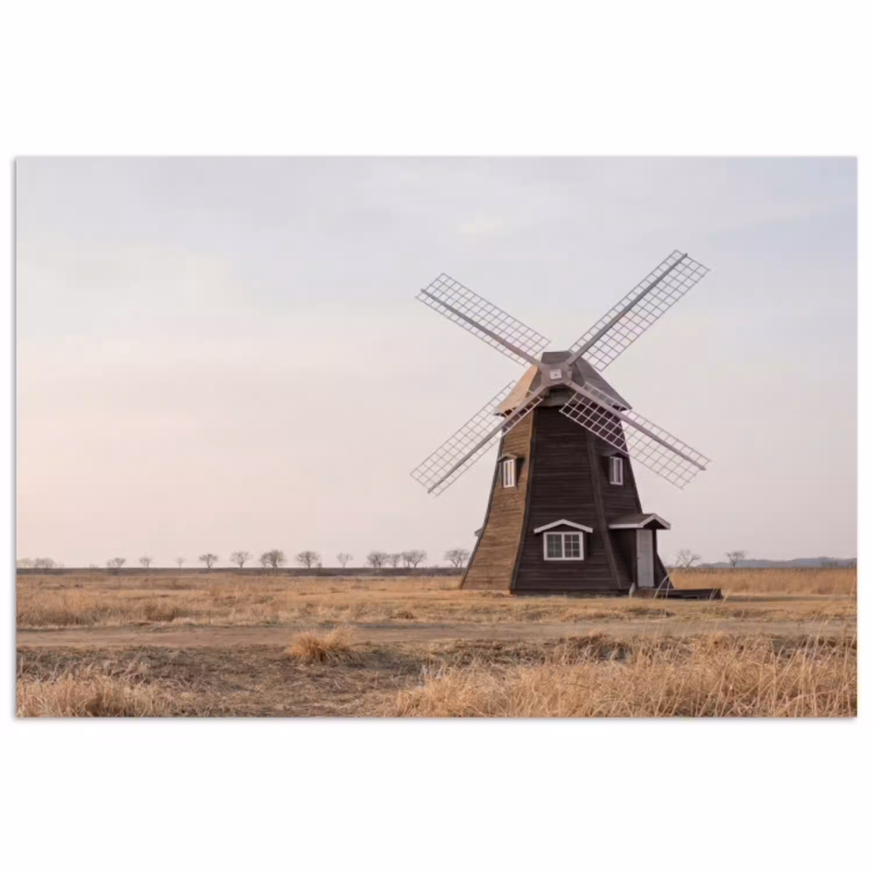 Windmolens - Landschap - Veld poster papier klein -3d