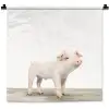 Varkentje - Big - Dieren - Roze - Jongens - Meisjes - Kinderen Wandkleed katoen klein -zz3d