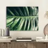 Inductie beschermer - Bananenblad - Tropisch - Jungle - Bladeren aluminium wit klein -sfeer1