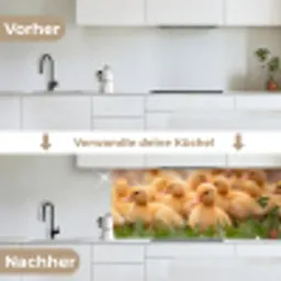 Pijltje - Eend - Natuur - Geel keuken achterwand 2 middel -voor-na_DE