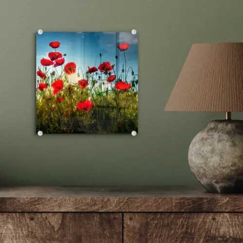 Klaprozen - Toscane - Zon - Rood - Blauw plexiglas 5mm klein -sfeer3