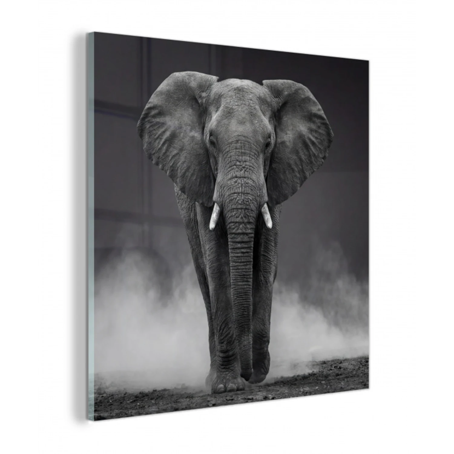 Olifant - Zwart - Wit - Rook plexiglas 5mm klein -z3d