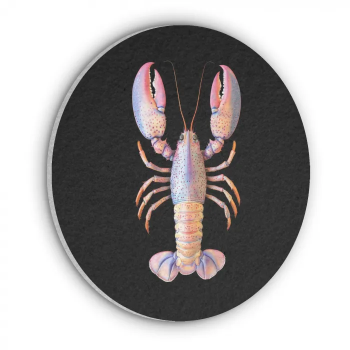 Kreeft - Roze - Zacht - Zwart Akoestische PET Vilt - Rond klein -3d
