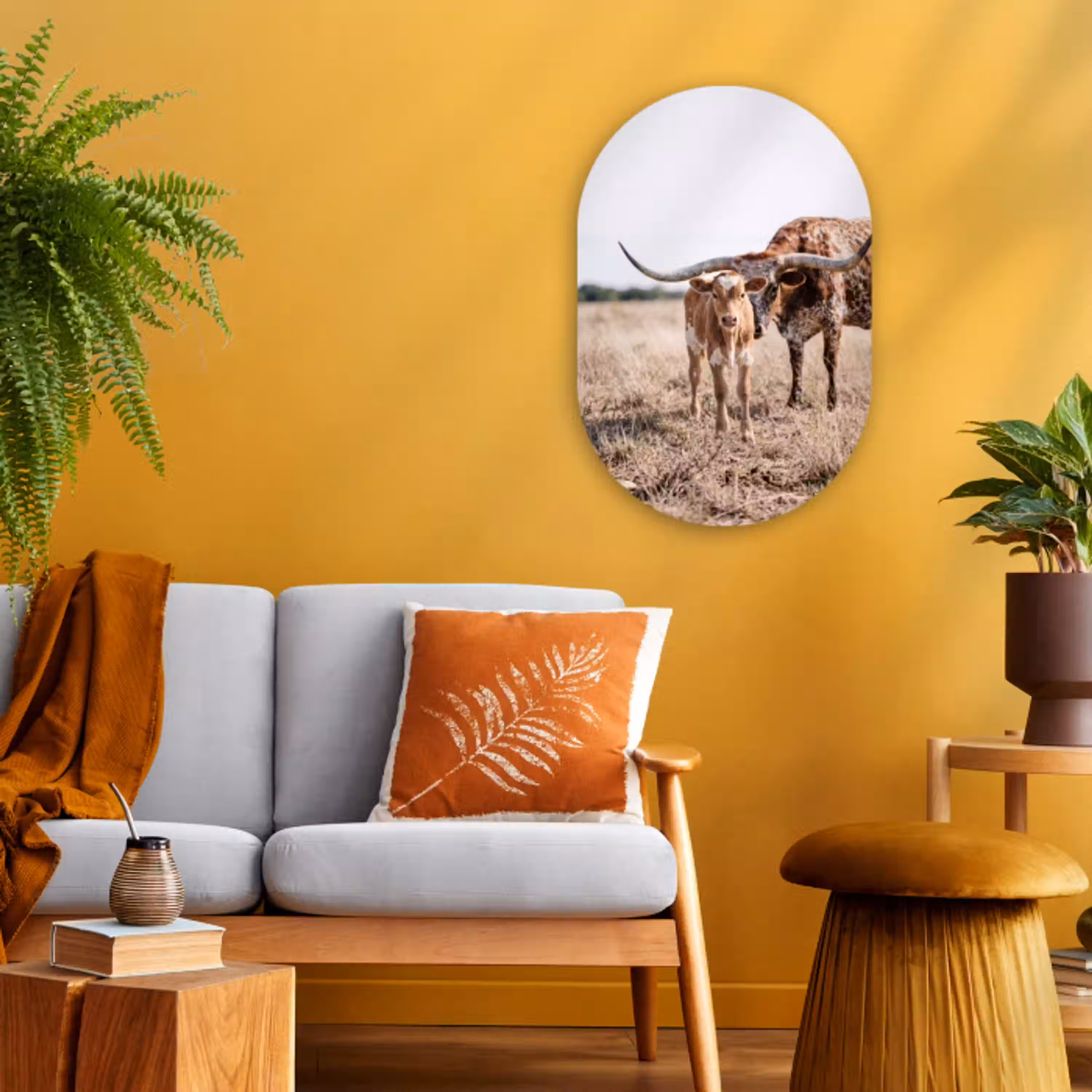 Texas Longhorn - Kalf - Weide - Dieren Wandcirkel Ovaal Forex klein -sfeer4