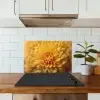 Geel - Chrysant - Zachtheid keuken achterwand spatscherm klein -sfeer2